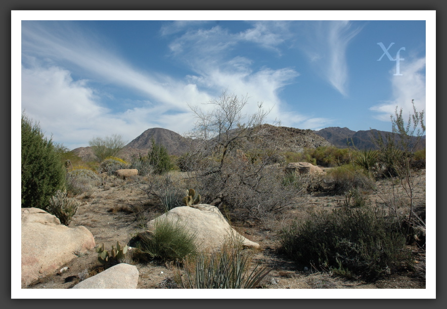 Desert - La Quinta, California