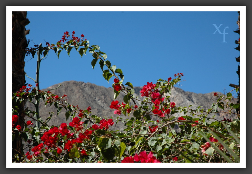 Schöne Aussicht - La Quinta, California