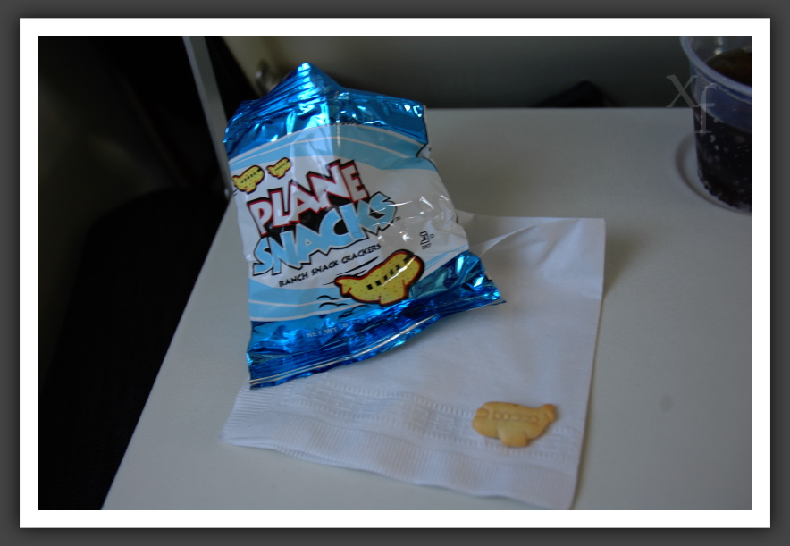 Plane Snacks - Los Angeles, California