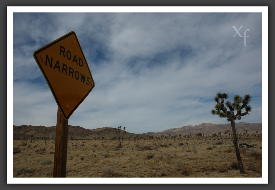 Es wird eng! - Joshua Tree Park, California