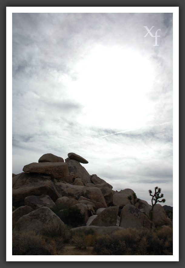 Eery - Joshua Tree Park, California