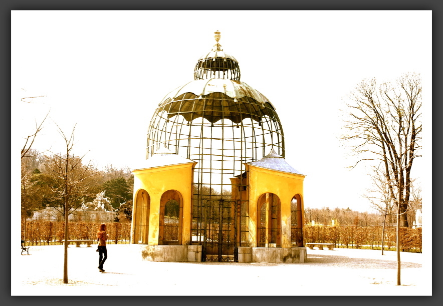 Käfig - Schönbrunn, Vienna, Austria