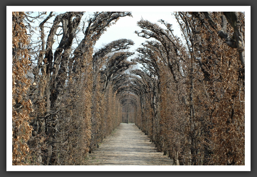 Corridor - Schönbrunn, Vienna, Austria