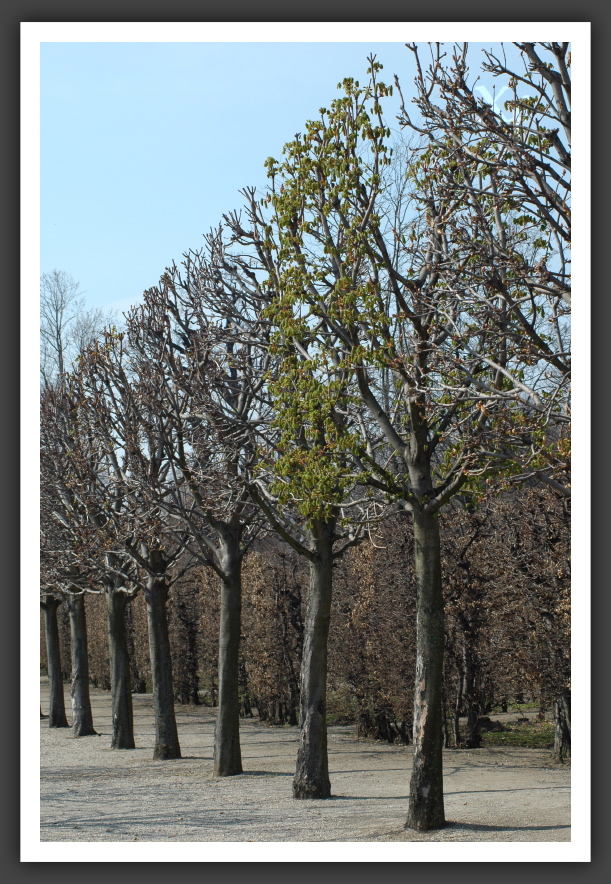 Der Zeit voraus - Schönbrunn, Vienna, Austria