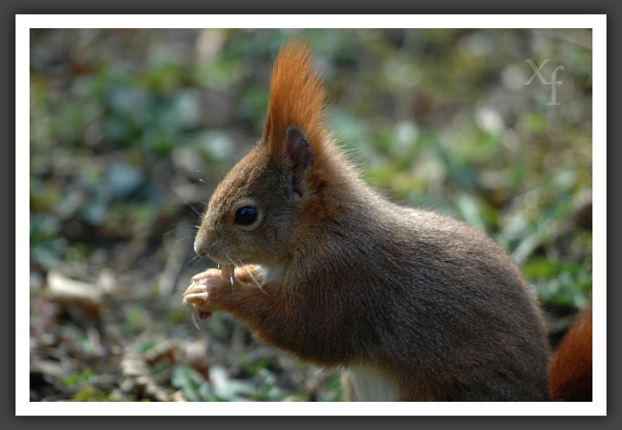 Lieb! Hungrig! - Schönbrunn, Vienna, Austria