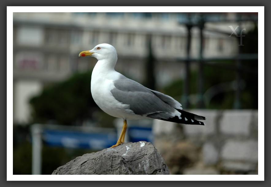 Meins! - Opatija, Croatia