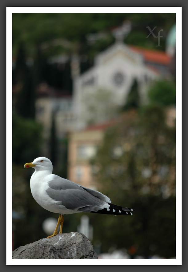 Mine! - Opatija, Croatia